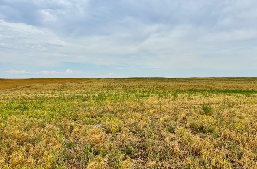 Rural Address, Poplar Valley Rm No. 12, Saskatchewan S0H 0A4, ,Farm,For Sale,Rockglen 2,993 acres Grain Farmland,Rural Address,SK995923