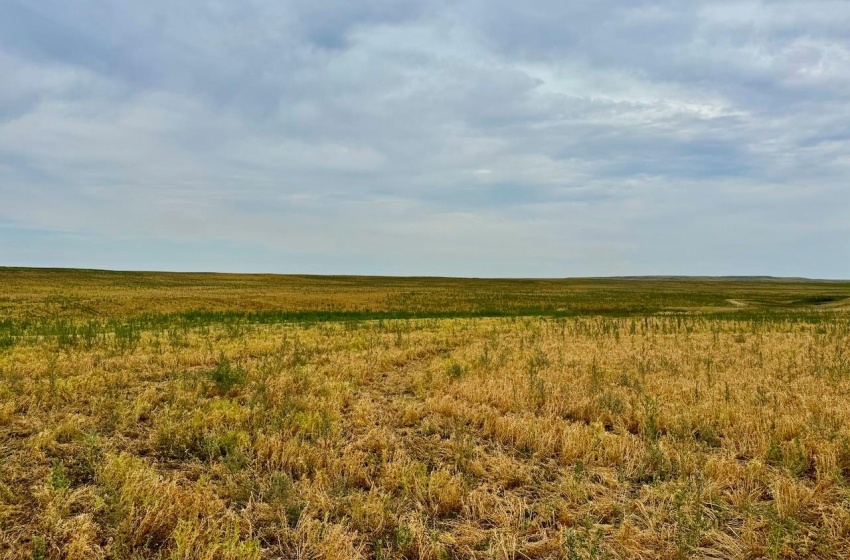 Rural Address, Poplar Valley Rm No. 12, Saskatchewan S0H 0A4, ,Farm,For Sale,Rockglen 2,993 acres Grain Farmland,Rural Address,SK995923