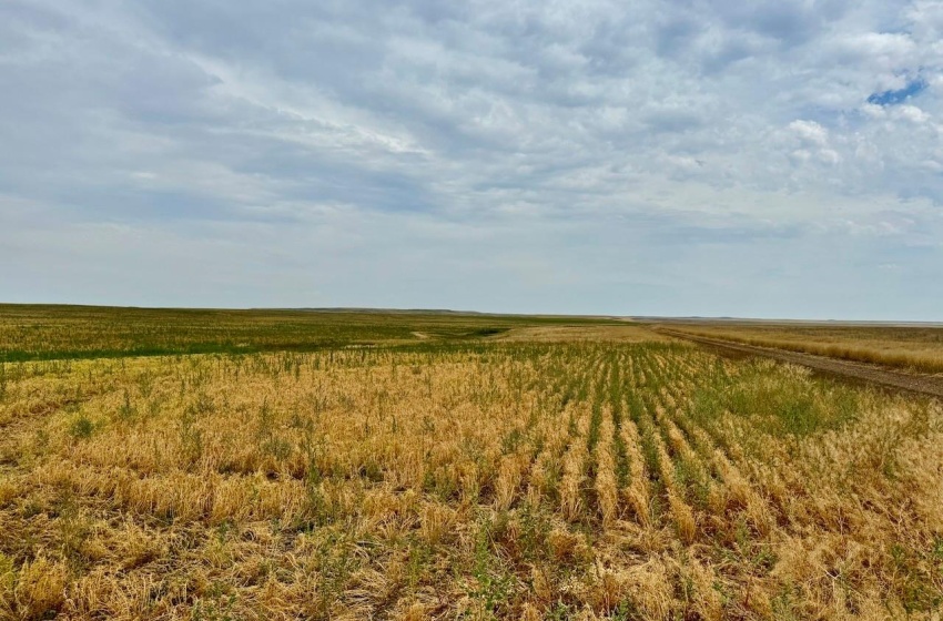 Rural Address, Poplar Valley Rm No. 12, Saskatchewan S0H 0A4, ,Farm,For Sale,Rockglen 2,993 acres Grain Farmland,Rural Address,SK995923