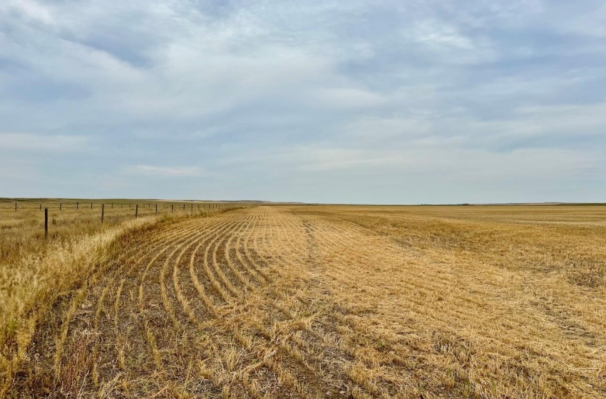 Rural Address, Poplar Valley Rm No. 12, Saskatchewan S0H 0A4, ,Farm,For Sale,Rockglen 2,993 acres Grain Farmland,Rural Address,SK995923