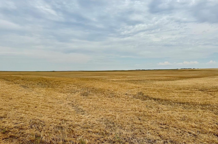 Rural Address, Poplar Valley Rm No. 12, Saskatchewan S0H 0A4, ,Farm,For Sale,Rockglen 2,993 acres Grain Farmland,Rural Address,SK995923