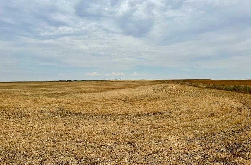 Rural Address, Poplar Valley Rm No. 12, Saskatchewan S0H 0A4, ,Farm,For Sale,Rockglen 2,993 acres Grain Farmland,Rural Address,SK995923