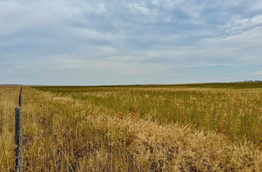 Rural Address, Poplar Valley Rm No. 12, Saskatchewan S0H 0A4, ,Farm,For Sale,Rockglen 2,993 acres Grain Farmland,Rural Address,SK995923