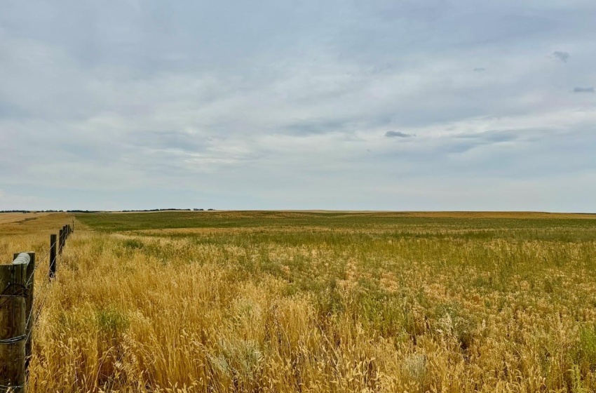 Rural Address, Poplar Valley Rm No. 12, Saskatchewan S0H 0A4, ,Farm,For Sale,Rockglen 2,993 acres Grain Farmland,Rural Address,SK995923