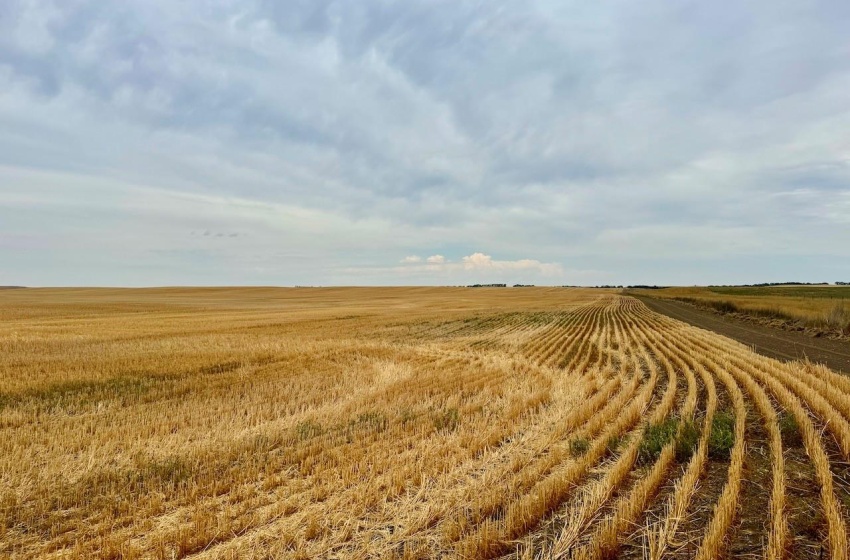 Rural Address, Poplar Valley Rm No. 12, Saskatchewan S0H 0A4, ,Farm,For Sale,Rockglen 2,993 acres Grain Farmland,Rural Address,SK995923