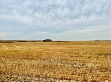 Rural Address, Poplar Valley Rm No. 12, Saskatchewan S0H 0A4, ,Farm,For Sale,Rockglen 2,993 acres Grain Farmland,Rural Address,SK995923