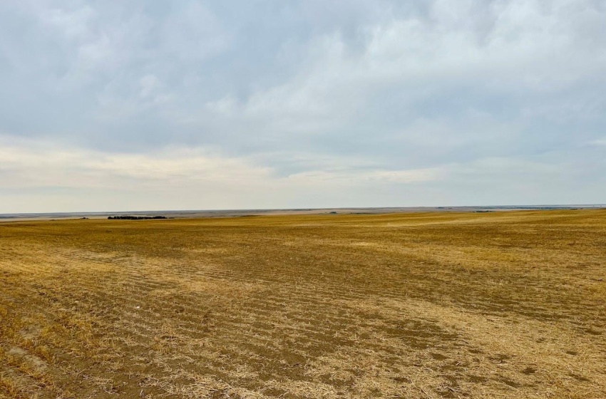 Rural Address, Poplar Valley Rm No. 12, Saskatchewan S0H 0A4, ,Farm,For Sale,Rockglen 2,993 acres Grain Farmland,Rural Address,SK995923