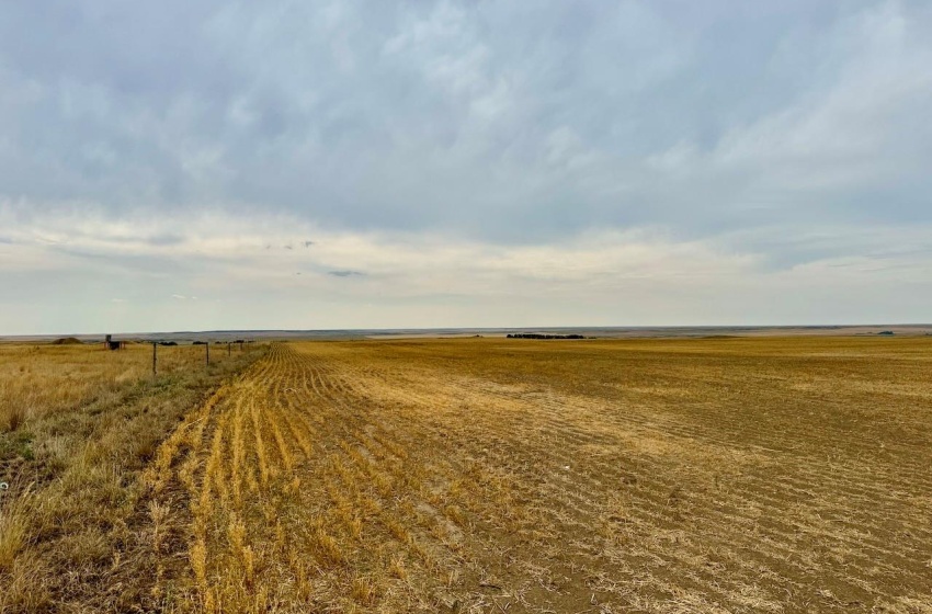 Rural Address, Poplar Valley Rm No. 12, Saskatchewan S0H 0A4, ,Farm,For Sale,Rockglen 2,993 acres Grain Farmland,Rural Address,SK995923