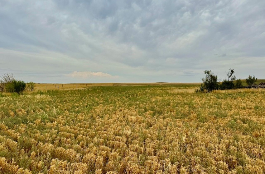 Rural Address, Poplar Valley Rm No. 12, Saskatchewan S0H 0A4, ,Farm,For Sale,Rockglen 2,993 acres Grain Farmland,Rural Address,SK995923