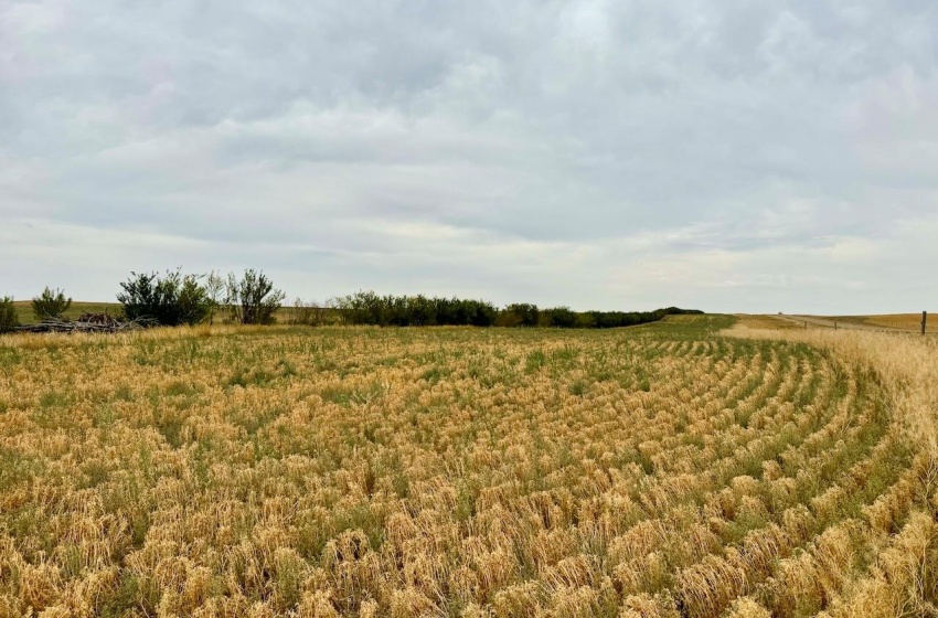 Rural Address, Poplar Valley Rm No. 12, Saskatchewan S0H 0A4, ,Farm,For Sale,Rockglen 2,993 acres Grain Farmland,Rural Address,SK995923