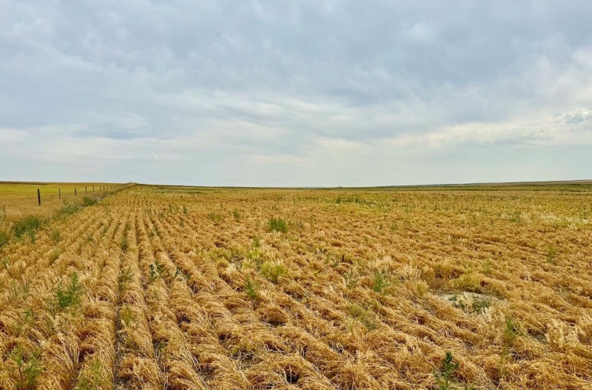 Rural Address, Poplar Valley Rm No. 12, Saskatchewan S0H 0A4, ,Farm,For Sale,Rockglen 2,993 acres Grain Farmland,Rural Address,SK995923