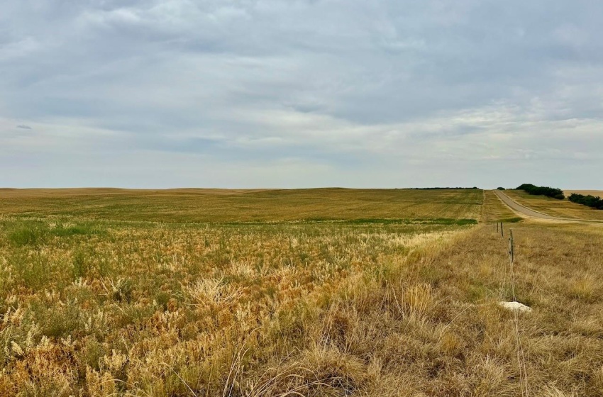 Rural Address, Poplar Valley Rm No. 12, Saskatchewan S0H 0A4, ,Farm,For Sale,Rockglen 2,993 acres Grain Farmland,Rural Address,SK995923