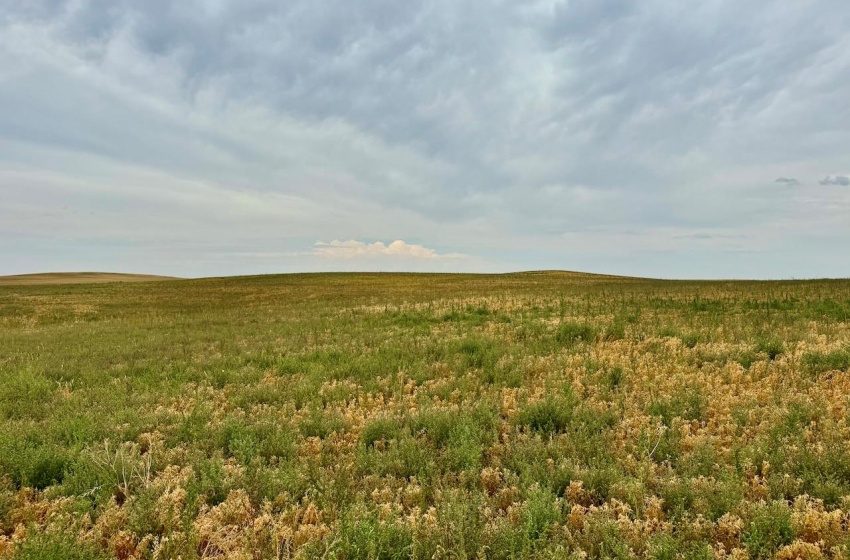 Rural Address, Poplar Valley Rm No. 12, Saskatchewan S0H 0A4, ,Farm,For Sale,Rockglen 2,993 acres Grain Farmland,Rural Address,SK995923