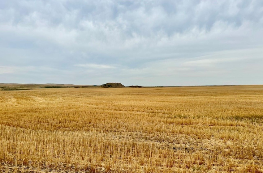 Rural Address, Poplar Valley Rm No. 12, Saskatchewan S0H 0A4, ,Farm,For Sale,Rockglen 2,993 acres Grain Farmland,Rural Address,SK995923