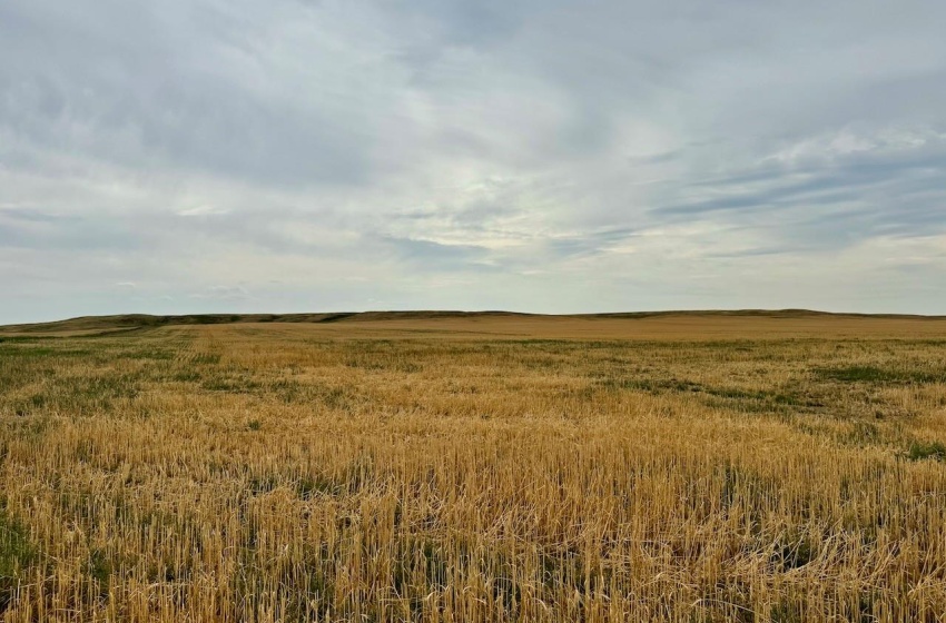 Rural Address, Poplar Valley Rm No. 12, Saskatchewan S0H 0A4, ,Farm,For Sale,Rockglen 2,993 acres Grain Farmland,Rural Address,SK995923