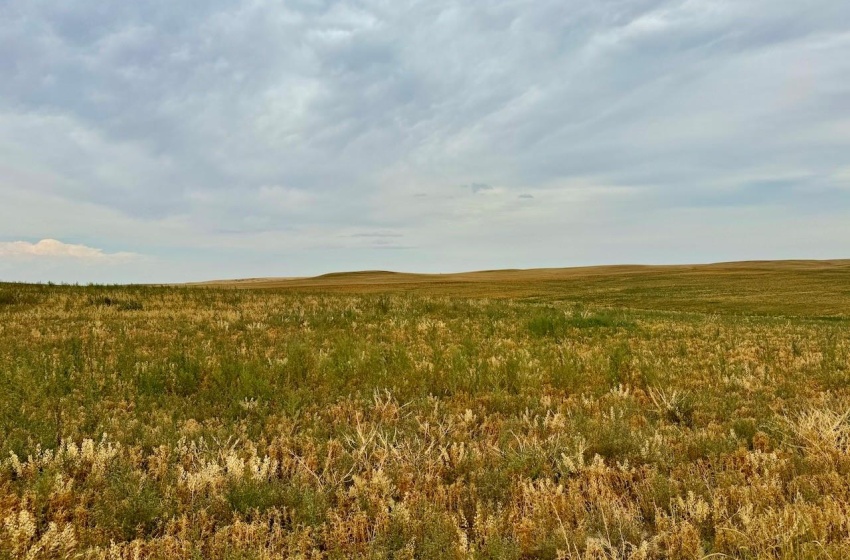 Rural Address, Poplar Valley Rm No. 12, Saskatchewan S0H 0A4, ,Farm,For Sale,Rockglen 2,993 acres Grain Farmland,Rural Address,SK995923