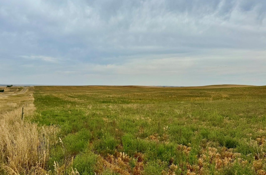 Rural Address, Poplar Valley Rm No. 12, Saskatchewan S0H 0A4, ,Farm,For Sale,Rockglen 2,993 acres Grain Farmland,Rural Address,SK995923