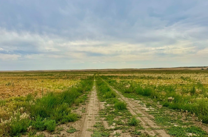 Rural Address, Poplar Valley Rm No. 12, Saskatchewan S0H 0A4, ,Farm,For Sale,Rockglen 2,993 acres Grain Farmland,Rural Address,SK995923