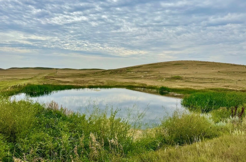 Rural Address, Poplar Valley Rm No. 12, Saskatchewan S0H 0A4, ,Farm,For Sale,Rockglen 2,993 acres Grain Farmland,Rural Address,SK995923