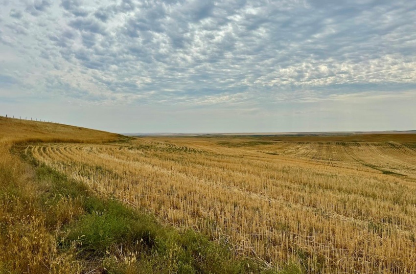 Rural Address, Poplar Valley Rm No. 12, Saskatchewan S0H 0A4, ,Farm,For Sale,Rockglen 2,993 acres Grain Farmland,Rural Address,SK995923