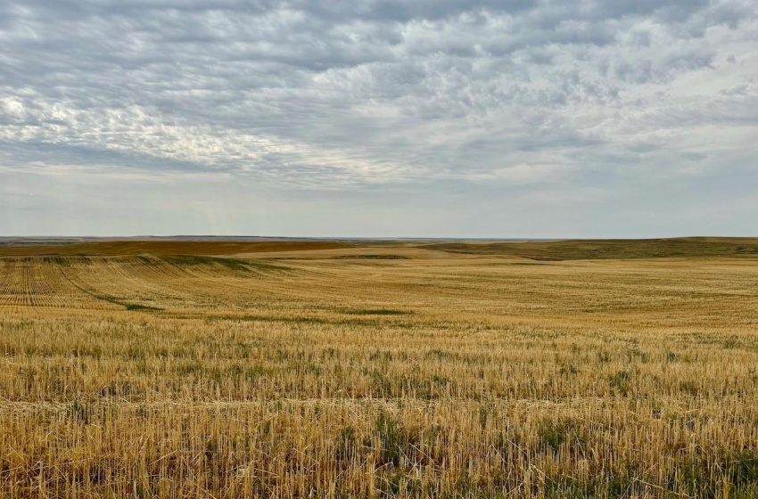 Rural Address, Poplar Valley Rm No. 12, Saskatchewan S0H 0A4, ,Farm,For Sale,Rockglen 2,993 acres Grain Farmland,Rural Address,SK995923