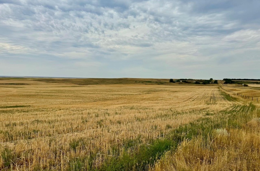 Rural Address, Poplar Valley Rm No. 12, Saskatchewan S0H 0A4, ,Farm,For Sale,Rockglen 2,993 acres Grain Farmland,Rural Address,SK995923