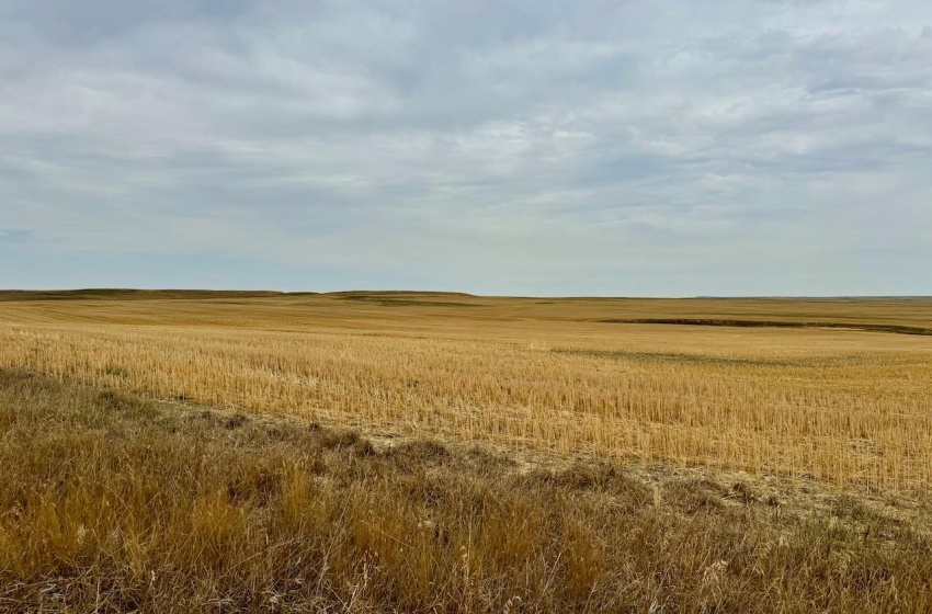 Rural Address, Poplar Valley Rm No. 12, Saskatchewan S0H 0A4, ,Farm,For Sale,Rockglen 2,993 acres Grain Farmland,Rural Address,SK995923