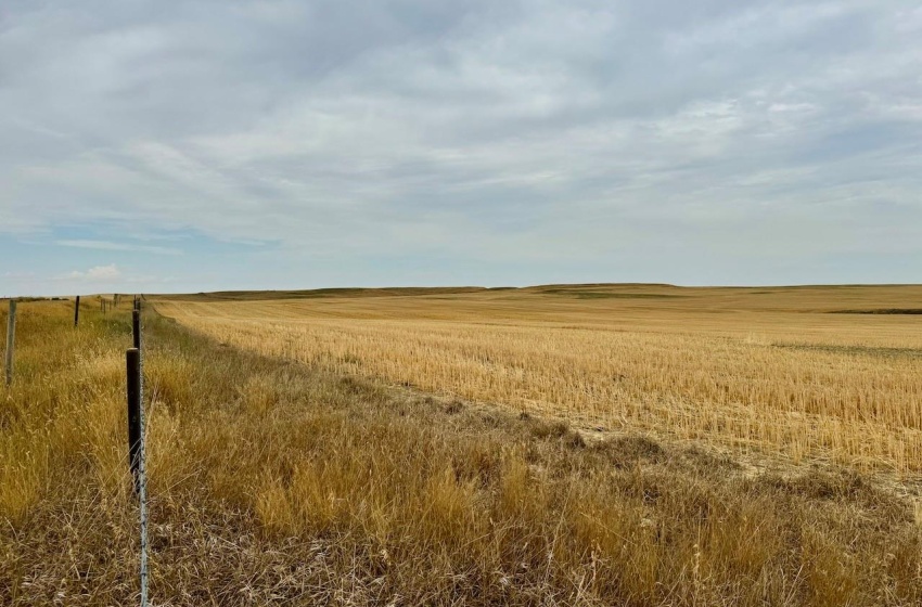 Rural Address, Poplar Valley Rm No. 12, Saskatchewan S0H 0A4, ,Farm,For Sale,Rockglen 2,993 acres Grain Farmland,Rural Address,SK995923