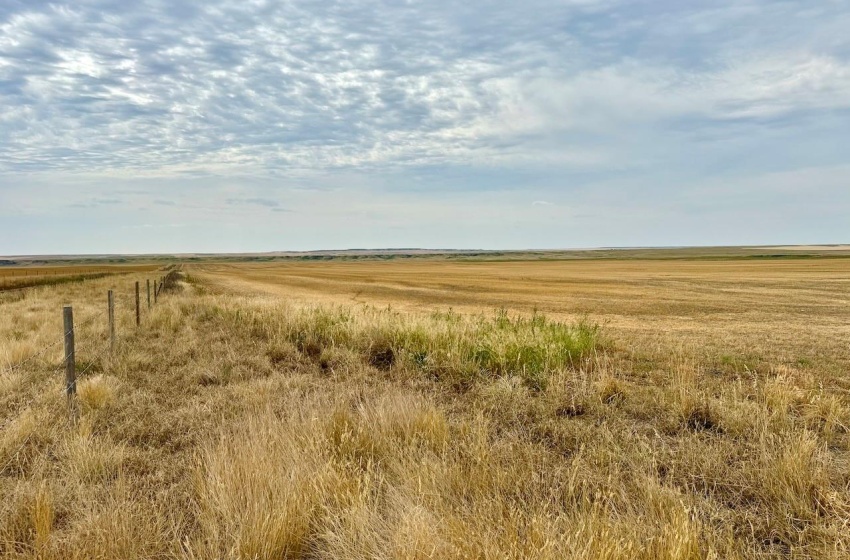 Rural Address, Poplar Valley Rm No. 12, Saskatchewan S0H 0A4, ,Farm,For Sale,Rockglen 2,993 acres Grain Farmland,Rural Address,SK995923