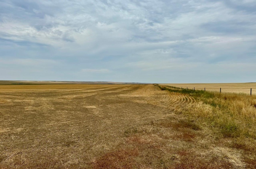 Rural Address, Poplar Valley Rm No. 12, Saskatchewan S0H 0A4, ,Farm,For Sale,Rockglen 2,993 acres Grain Farmland,Rural Address,SK995923