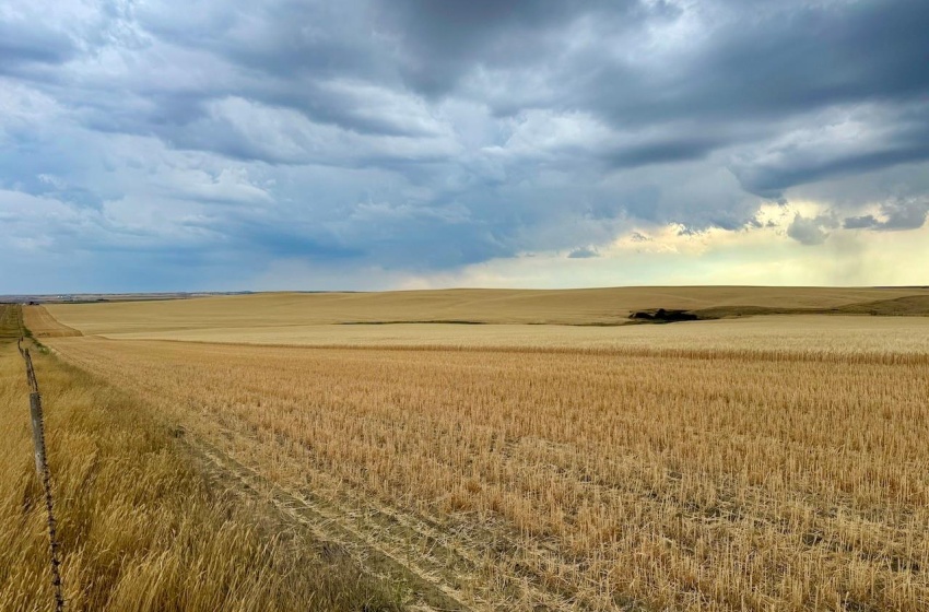 Rural Address, Old Post Rm No. 43, Saskatchewan S0H 1R0, ,Farm,For Sale,Old Post 947 acres Grain Farmland,Rural Address,SK995927