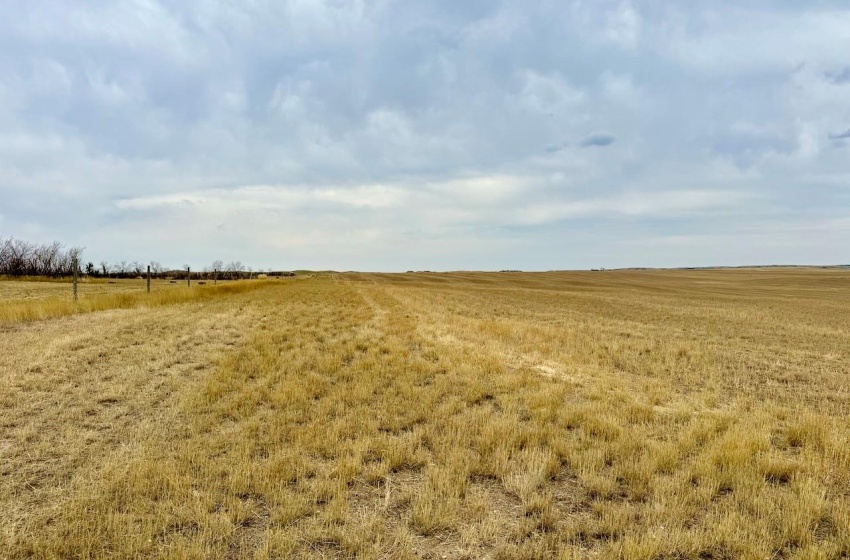 Rural Address, Old Post Rm No. 43, Saskatchewan S0H 1R0, ,Farm,For Sale,Old Post 947 acres Grain Farmland,Rural Address,SK995927