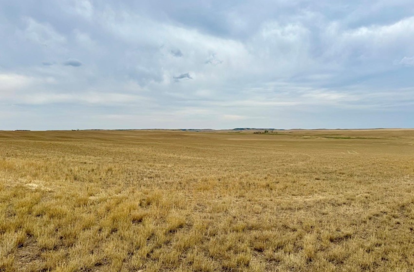 Rural Address, Old Post Rm No. 43, Saskatchewan S0H 1R0, ,Farm,For Sale,Old Post 947 acres Grain Farmland,Rural Address,SK995927