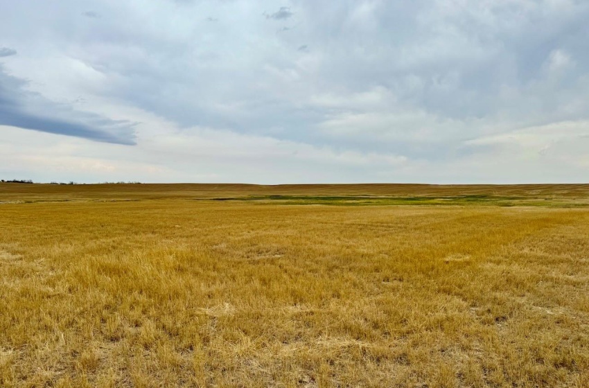 Rural Address, Old Post Rm No. 43, Saskatchewan S0H 1R0, ,Farm,For Sale,Old Post 947 acres Grain Farmland,Rural Address,SK995927