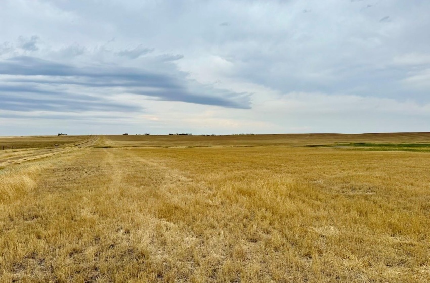 Rural Address, Old Post Rm No. 43, Saskatchewan S0H 1R0, ,Farm,For Sale,Old Post 947 acres Grain Farmland,Rural Address,SK995927