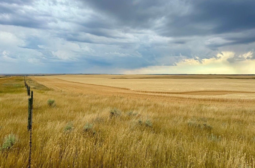 Rural Address, Old Post Rm No. 43, Saskatchewan S0H 1R0, ,Farm,For Sale,Old Post 947 acres Grain Farmland,Rural Address,SK995927