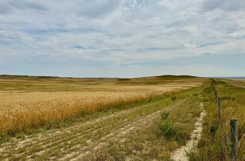 Rural Address, Old Post Rm No. 43, Saskatchewan S0H 1P0, ,Farm,For Sale,Killdeer 1,278 Acres Grain Farmland,Rural Address,SK995930