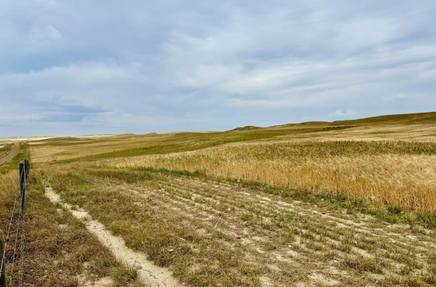 Rural Address, Old Post Rm No. 43, Saskatchewan S0H 1P0, ,Farm,For Sale,Killdeer 1,278 Acres Grain Farmland,Rural Address,SK995930