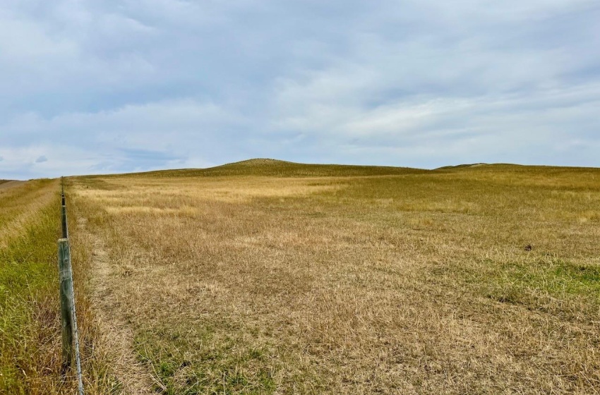 Rural Address, Old Post Rm No. 43, Saskatchewan S0H 1P0, ,Farm,For Sale,Killdeer 1,278 Acres Grain Farmland,Rural Address,SK995930