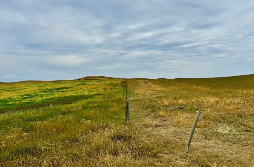 Rural Address, Old Post Rm No. 43, Saskatchewan S0H 1P0, ,Farm,For Sale,Killdeer 1,278 Acres Grain Farmland,Rural Address,SK995930