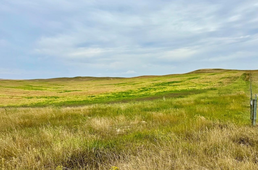 Rural Address, Old Post Rm No. 43, Saskatchewan S0H 1P0, ,Farm,For Sale,Killdeer 1,278 Acres Grain Farmland,Rural Address,SK995930