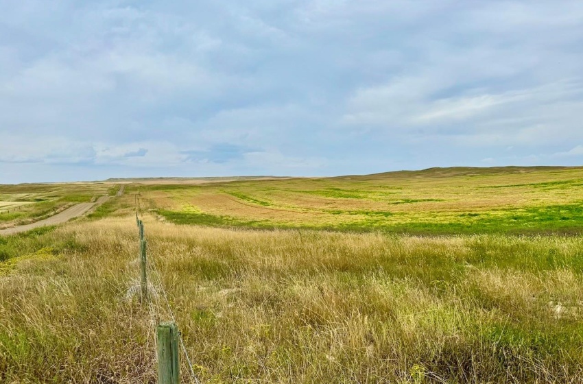 Rural Address, Old Post Rm No. 43, Saskatchewan S0H 1P0, ,Farm,For Sale,Killdeer 1,278 Acres Grain Farmland,Rural Address,SK995930