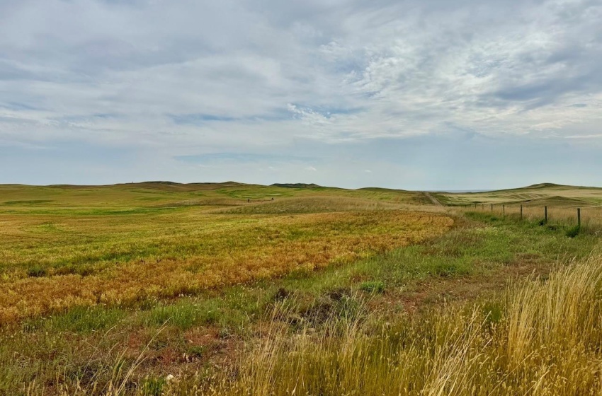 Rural Address, Old Post Rm No. 43, Saskatchewan S0H 1P0, ,Farm,For Sale,Killdeer 1,278 Acres Grain Farmland,Rural Address,SK995930