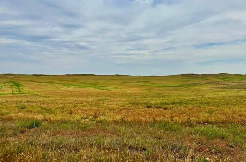 Rural Address, Old Post Rm No. 43, Saskatchewan S0H 1P0, ,Farm,For Sale,Killdeer 1,278 Acres Grain Farmland,Rural Address,SK995930