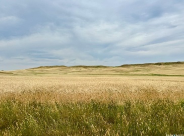 Rural Address, Old Post Rm No. 43, Saskatchewan S0H 1P0, ,Farm,For Sale,Killdeer 1,278 Acres Grain Farmland,Rural Address,SK995930