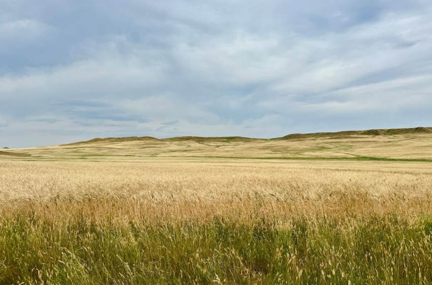 Rural Address, Old Post Rm No. 43, Saskatchewan S0H 1P0, ,Farm,For Sale,Killdeer 1,278 Acres Grain Farmland,Rural Address,SK995930