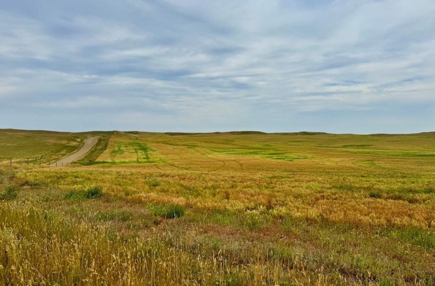 Rural Address, Old Post Rm No. 43, Saskatchewan S0H 1P0, ,Farm,For Sale,Killdeer 1,278 Acres Grain Farmland,Rural Address,SK995930