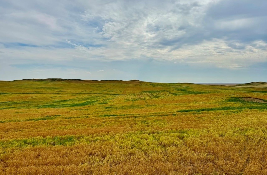 Rural Address, Old Post Rm No. 43, Saskatchewan S0H 1P0, ,Farm,For Sale,Killdeer 1,278 Acres Grain Farmland,Rural Address,SK995930