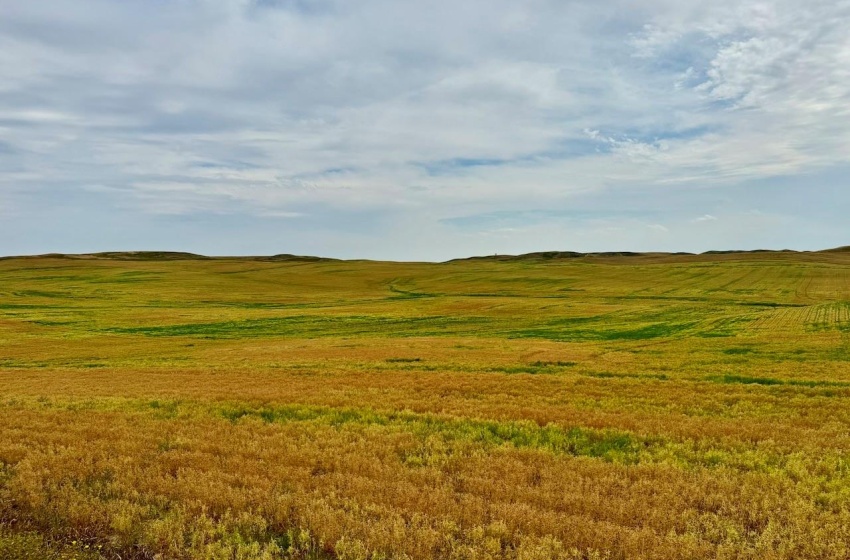 Rural Address, Old Post Rm No. 43, Saskatchewan S0H 1P0, ,Farm,For Sale,Killdeer 1,278 Acres Grain Farmland,Rural Address,SK995930