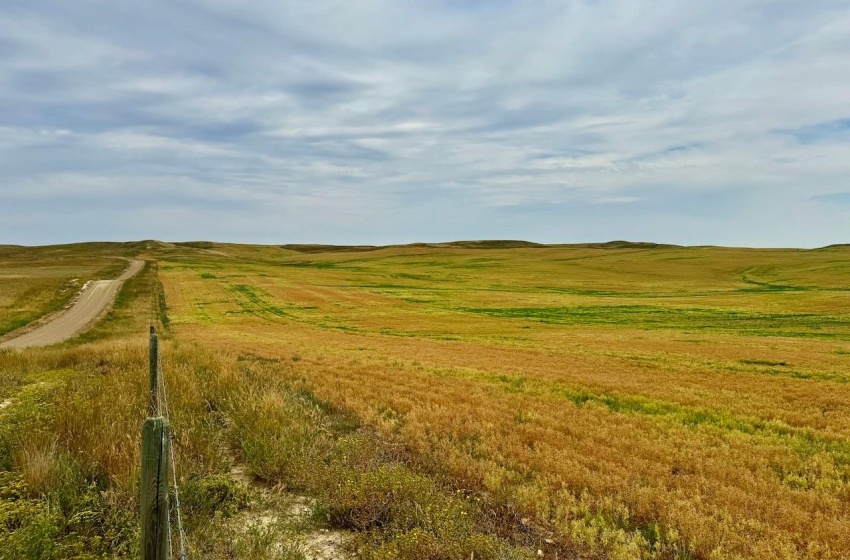 Rural Address, Old Post Rm No. 43, Saskatchewan S0H 1P0, ,Farm,For Sale,Killdeer 1,278 Acres Grain Farmland,Rural Address,SK995930